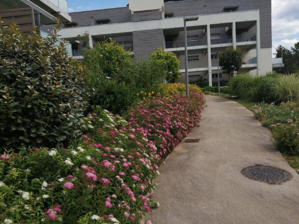 jardin