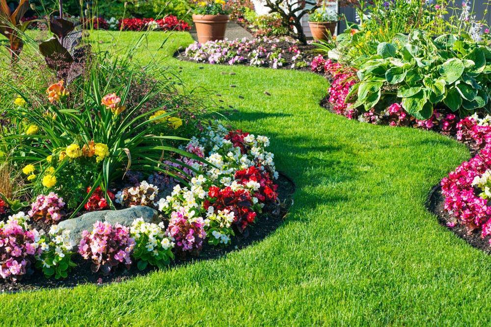 entretien de jardin Le Bourget-du-Lac