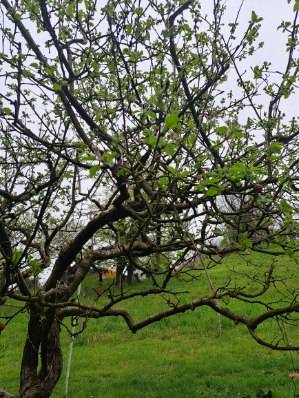 image0000051