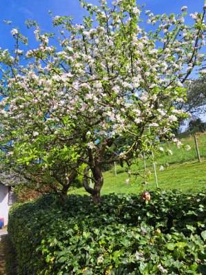image0000061