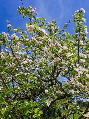 image0000071