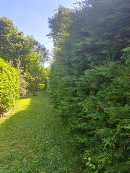 image0000021