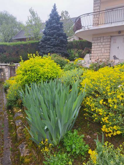 image0000031